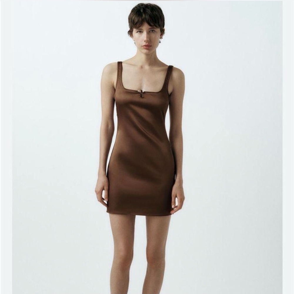 Zara Brown Mini Dress